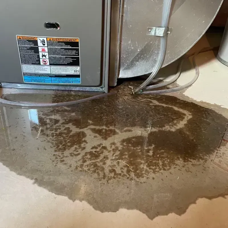 Appliance Leak Cleanup in Fayette County, TN